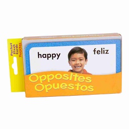 [REG-VOC-030] FLASH CARDS OPUESTOS